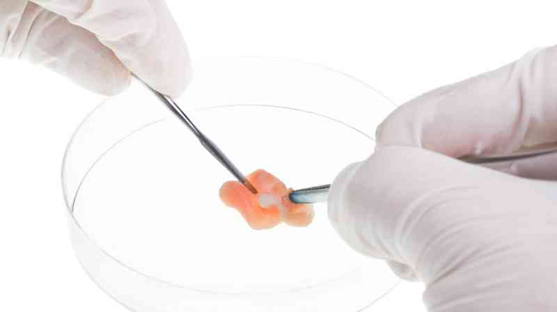 Illustration for article titled The Future Will Be Full of Lab Grown Meat